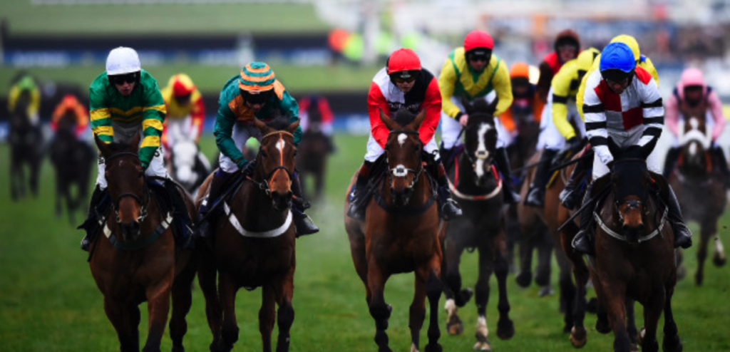 Cheltenham festival betting