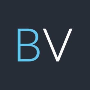 bv small logo odds