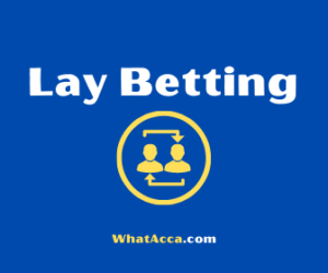 Lay Betting