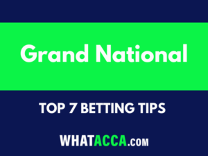Grand National betting tips