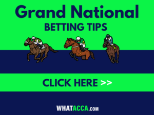 GRAND National tips
