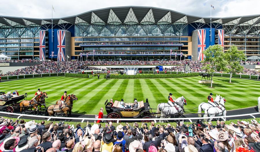 Royal Ascot Betting Example